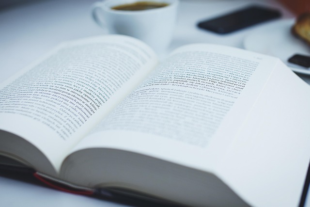 Die Rolle der Handelshochschule in der Wirtschaftsausbildung